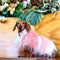 Mink Faux-Fur Dog Vest - Bella Rose
