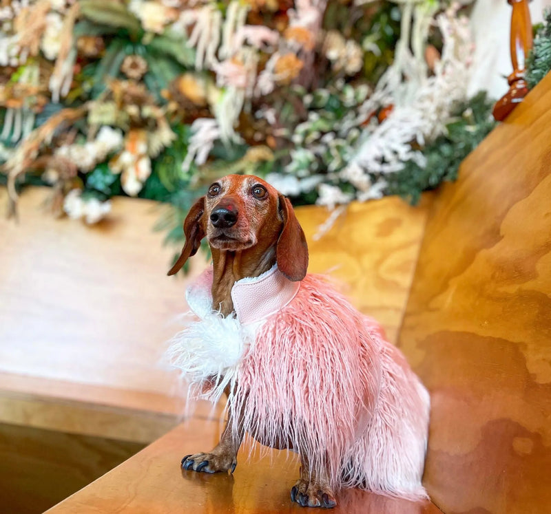 Mink Faux-Fur Dog Vest - Bella Rose