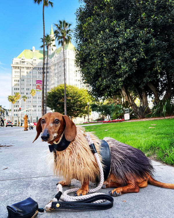 Mink Faux-Fur Dog Vest - Wildest One