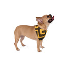 The Cultural Black & Gold Bandana