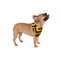 The Cultural Black & Gold Bandana