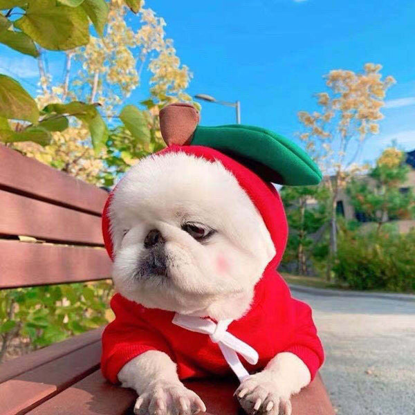 Fruit Dog Clothes For Small Dogs Hoodies