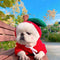 Fruit Dog Clothes For Small Dogs Hoodies