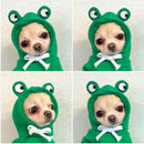 Fruit Dog Clothes For Small Dogs Hoodies