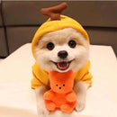 Fruit Dog Clothes For Small Dogs Hoodies