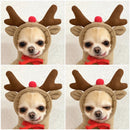 Fruit Dog Clothes For Small Dogs Hoodies