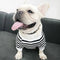 Stripe - Matching Pet & Owner Clothing Set