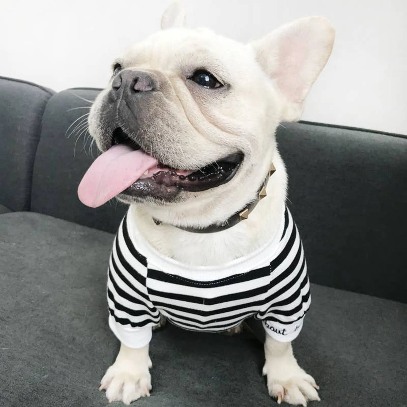 Stripe - Matching Pet & Owner Clothing Set
