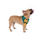 Vibrant Afrocentric Custom Dog Bandana – Blue, Black & Yellow