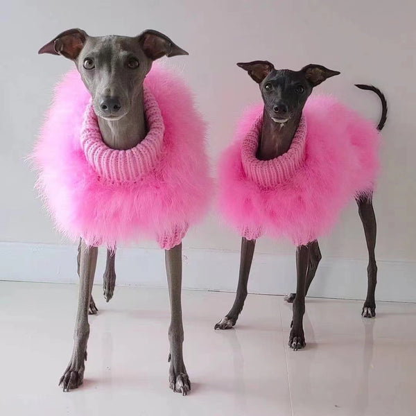 Fluffy Sweater for the VIP Dog