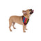 Cultural & Colorful Dog Bandana