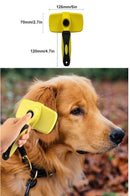 Self Cleaning Brush