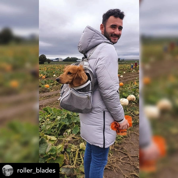 Backpack & Airline Capable Dog Carrier Bag
