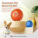 Dog's Smart Self-Rolling Bouncy Ball