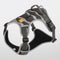 Reflective Dog Harness