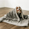 The Sunggle is Real Dog Blanket
