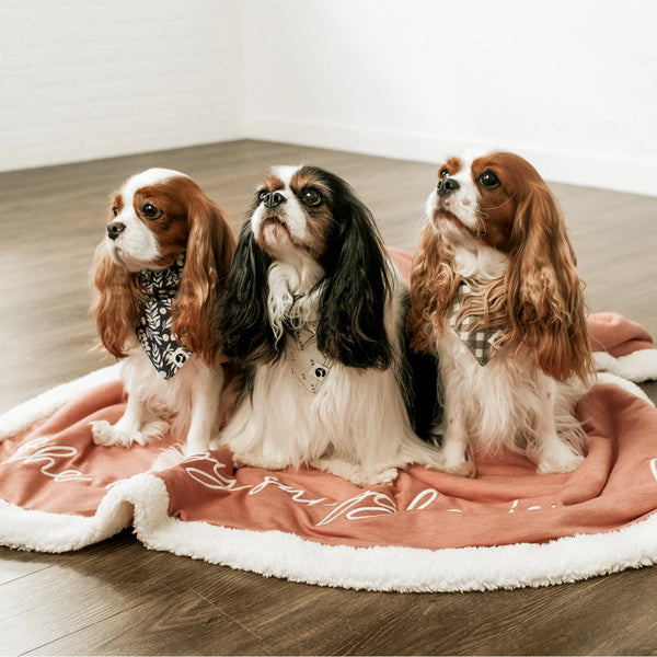 Snuggly Fleece Dog Blanket