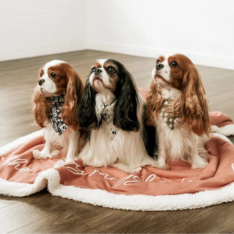 Snuggly Fleece Dog Blanket