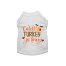 Cutest Turkey in Town - Dog Shirt
