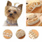 Bling Rhinestone Dog Collar