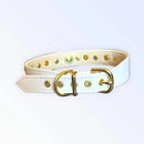 Rockstar Studded Dog Collar