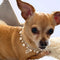 Classy Rhinestone & Pearl Crown Dog Necklace