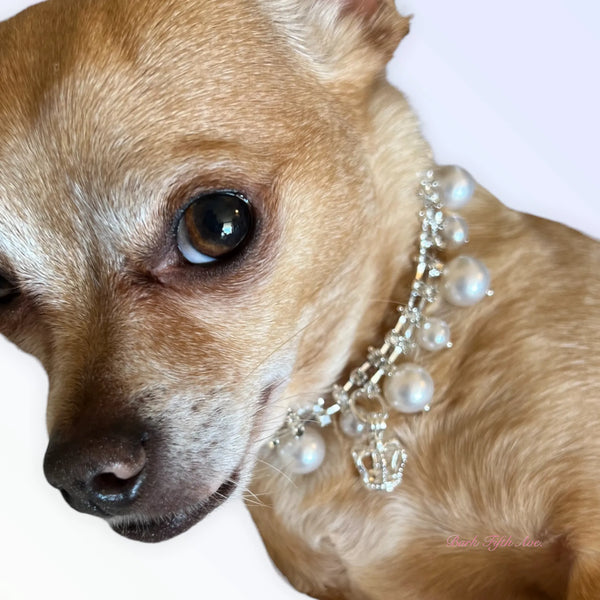 Classy Rhinestone & Pearl Crown Dog Necklace