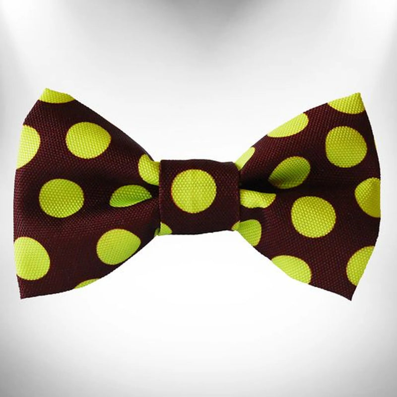 Polka Dot Dog Bow Tie