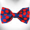 Polka Dot Dog Bow Tie