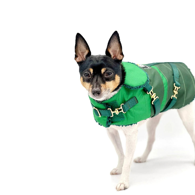 "Green with Envy" - Equestrian Collection