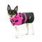 Forever Fuschia - Equestrian Collection