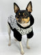 Pup Art Designer Dog Hoodie