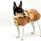 Vegan Leather & Suede Southwest Coat