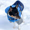 "Clear Blue Sky" - Dog Jacket
