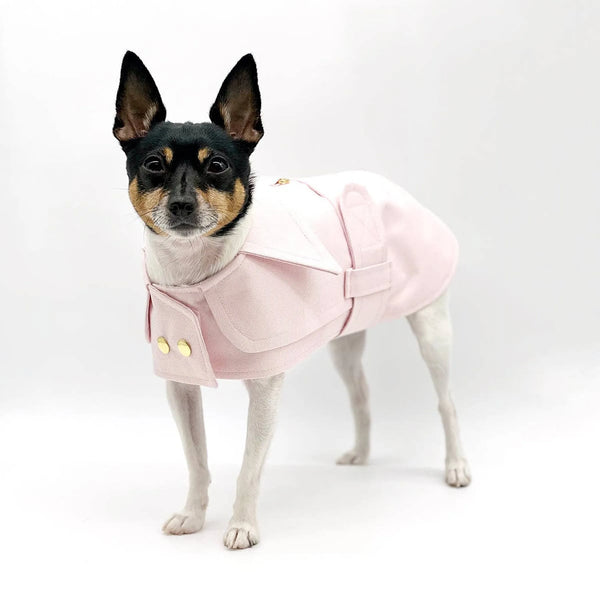 The Classic Belted Trench Coats