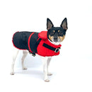 "Ruby Red" - Equestrian Dog Jacket