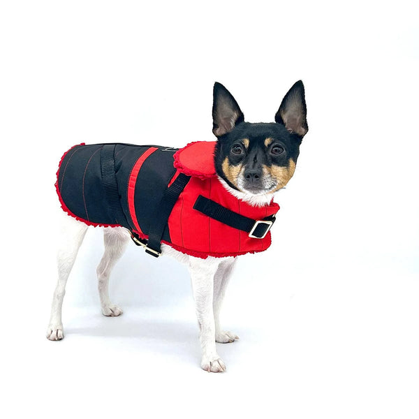 "Ruby Red" - Equestrian Dog Jacket