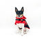 "Ruby Red" - Equestrian Dog Jacket