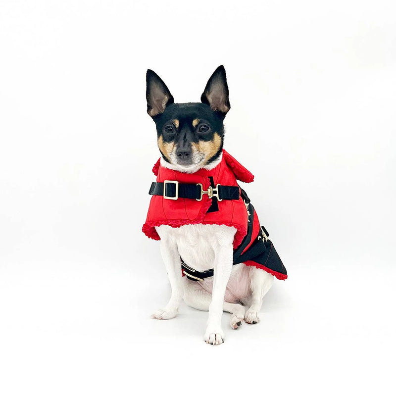 "Ruby Red" - Equestrian Dog Jacket