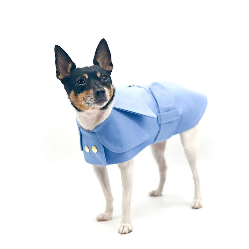The Classic Belted Trench Coats