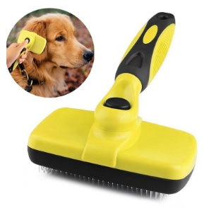 Self Cleaning Brush