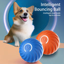 Dog's Smart Self-Rolling Bouncy Ball