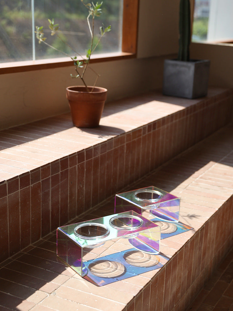 Acrylic Dazzling Food Bowl