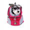 Mesh Backpack Carrier Bag For Dogs