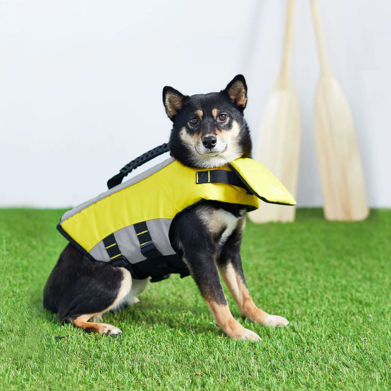 Pup Floatation Fun: Water-Ready Life Vest for Your Dog!