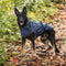Waterproof, Reflective & Reversible Dog Raincoats