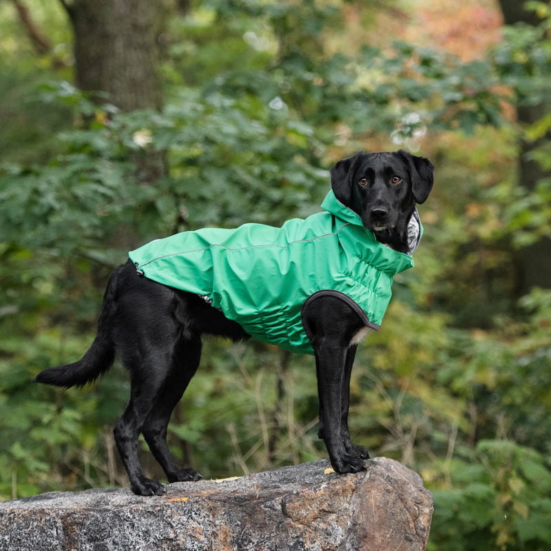 Waterproof, Reflective & Reversible Dog Raincoats
