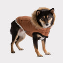 Fur Trim Urban Dog Parka
