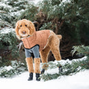 Fur Trim Urban Dog Parka