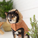 Fur Trim Urban Dog Parka